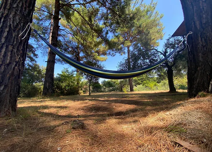 Art.villa.nike Lägenhet *